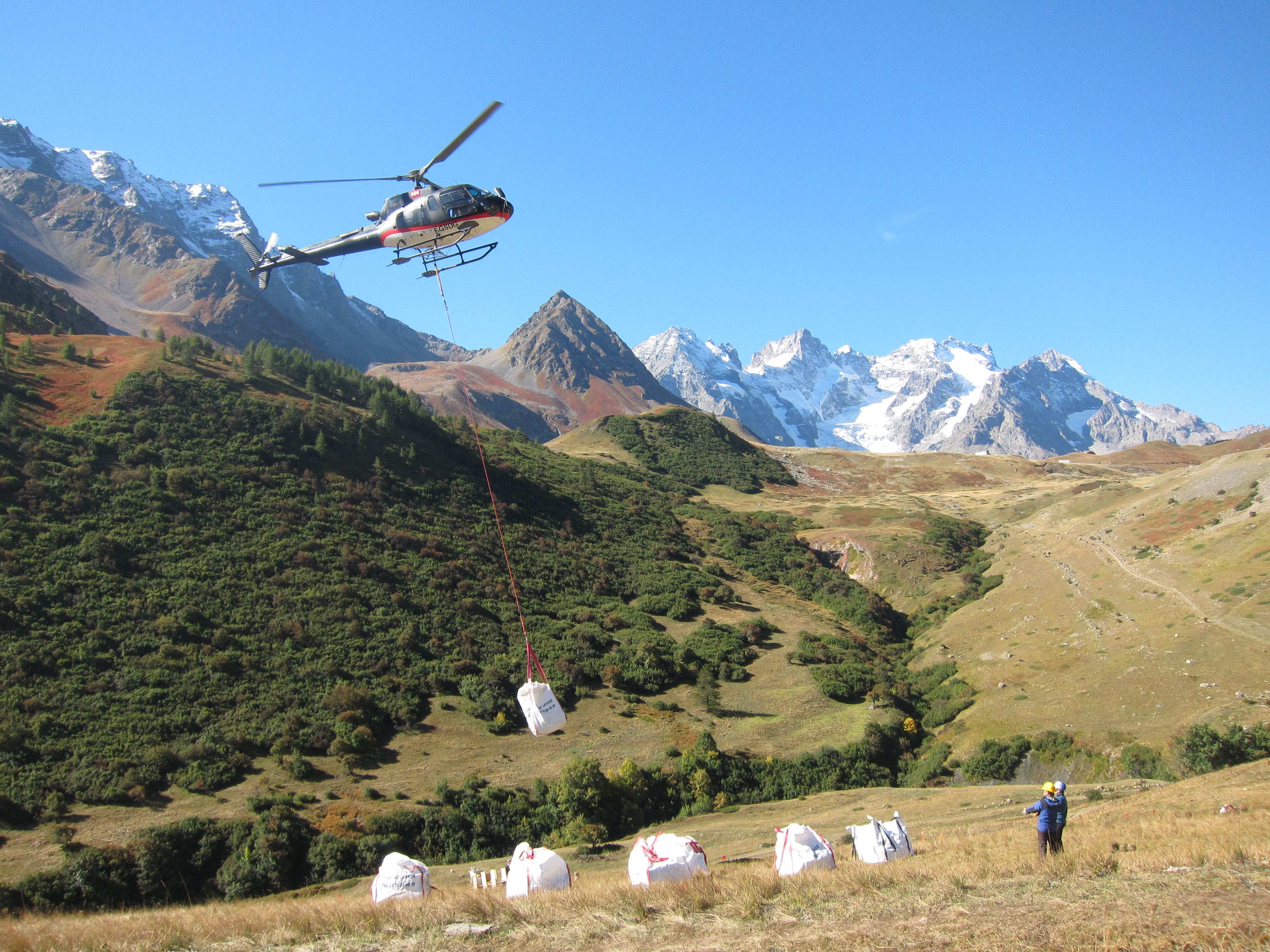 Alpine plant community transplant experiment