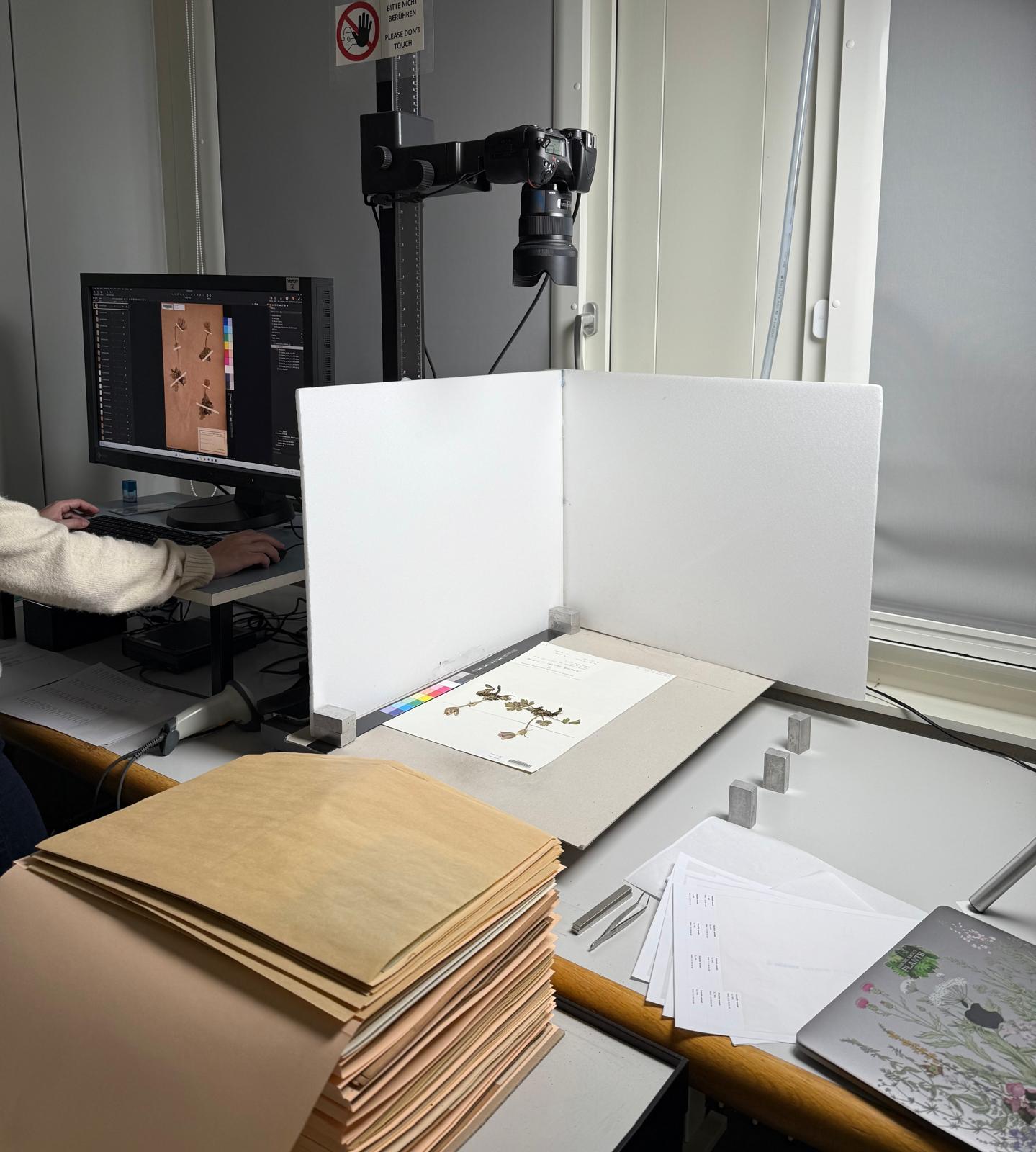 Historical herbarium specimens from Swiss Alps